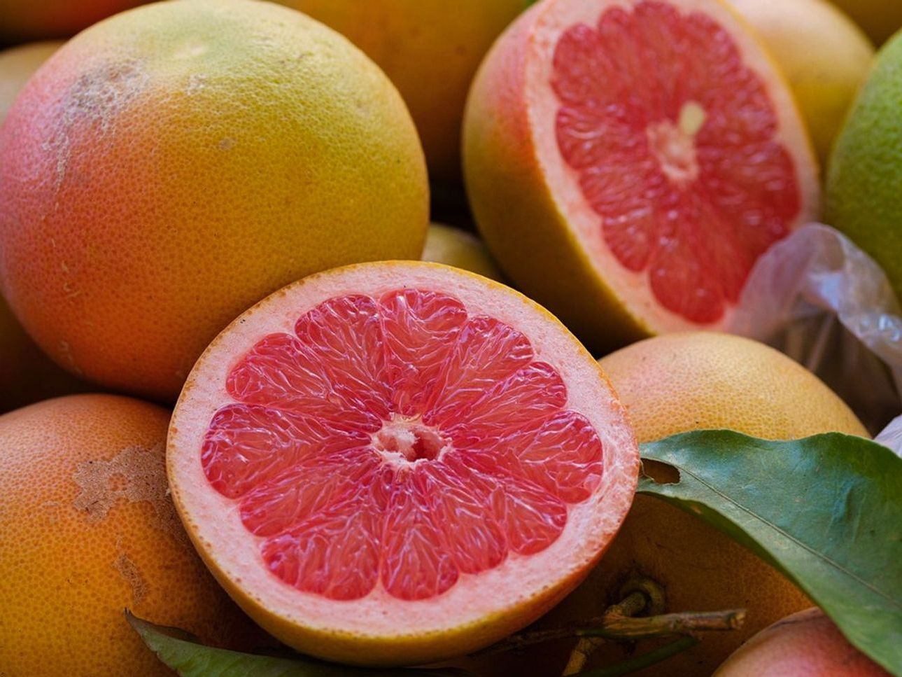 Healthy Snacks in 24 Hours