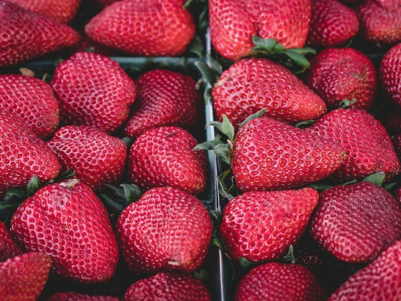 Local Farm Source